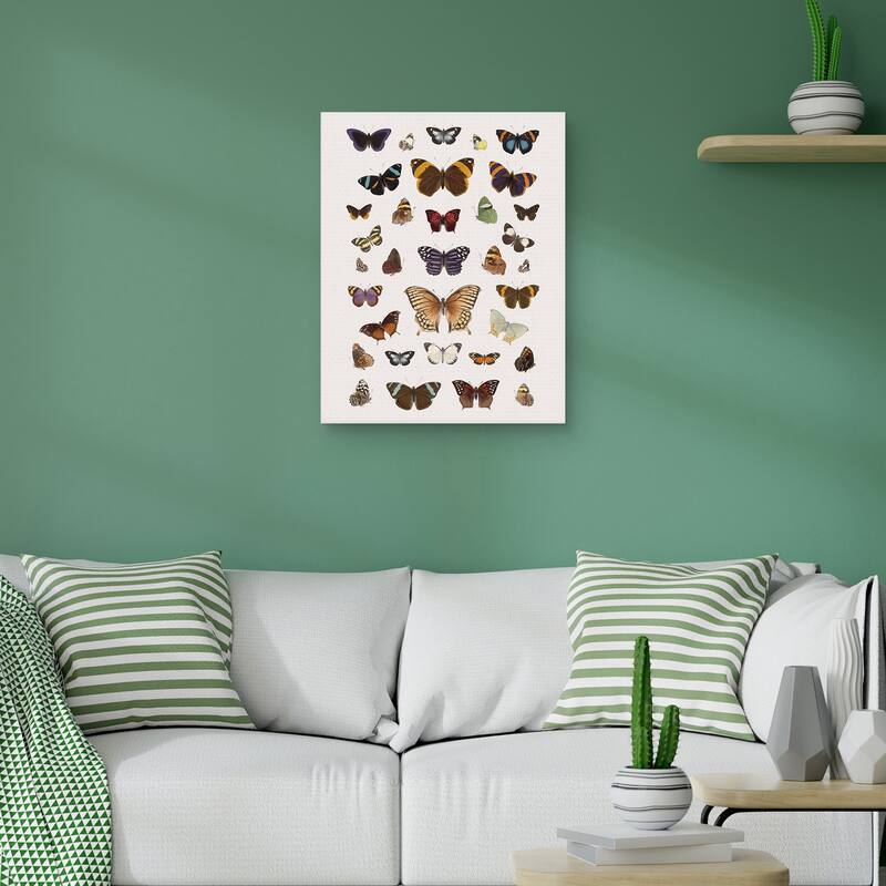 Papillons Harmony by The Drammis Collections Canvas Art Print