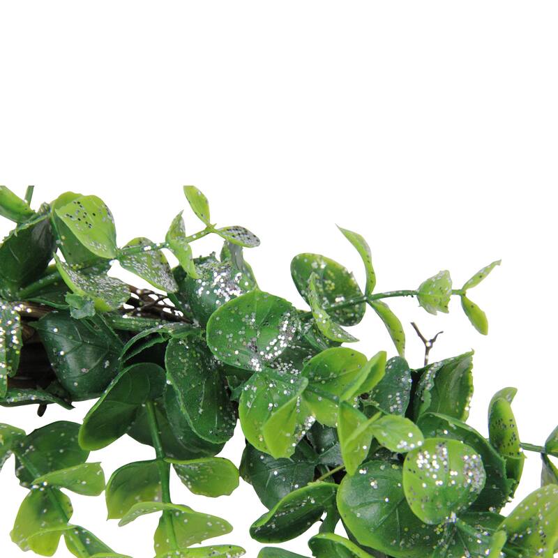 Sparkling Silver Green Grass Artificial Christmas Wreath - 8.75" Unlit