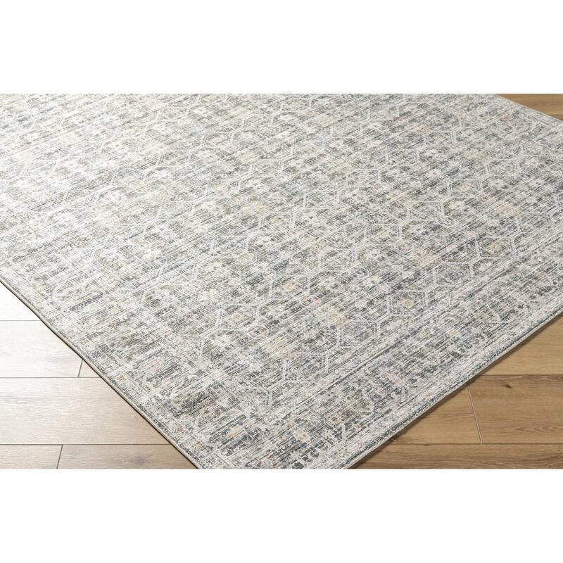 Maryjane Traditional Border Fringed Area Rug
