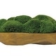 preview thumbnail 2 of 1, Uttermost Kinsale Moss Centerpiece