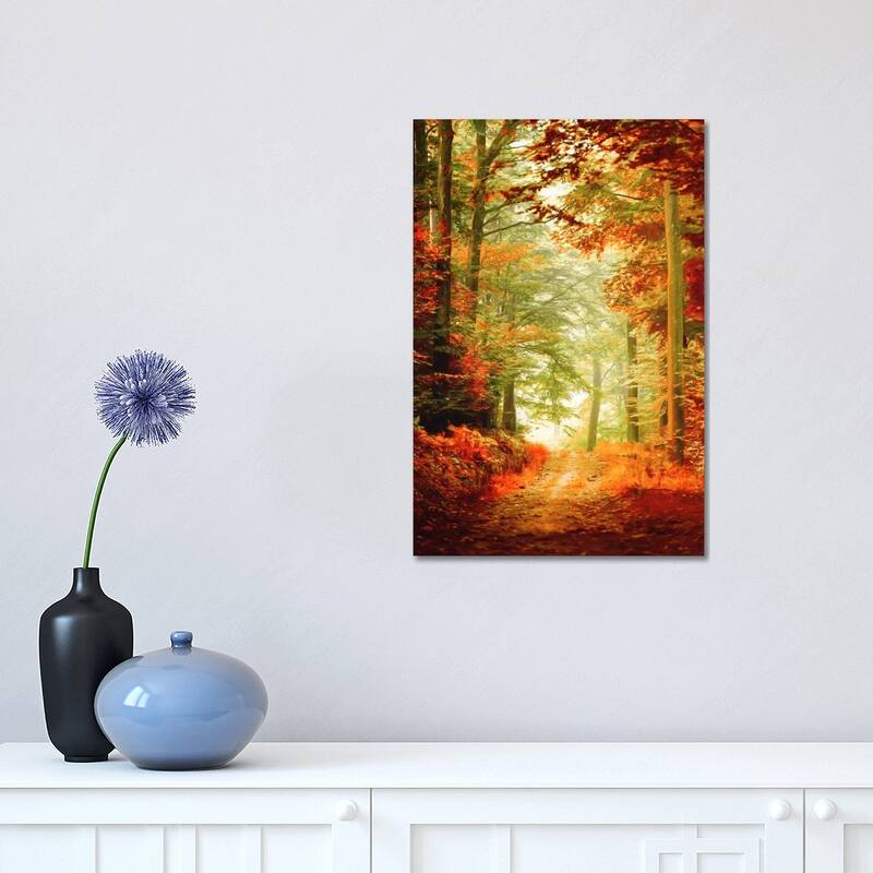iCanvas "Fall Painting" by Philippe Sainte-Laudy Canvas Print - 18x12x1.5