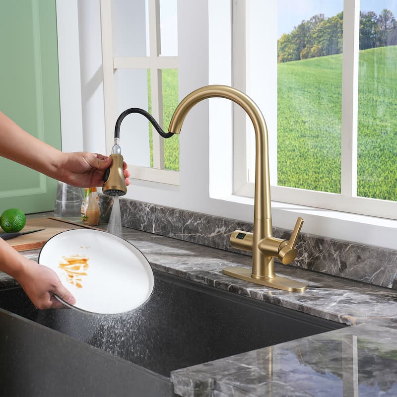 Single-Handle Pull-Out Sprayer Kitchen Faucet with Digital Display
