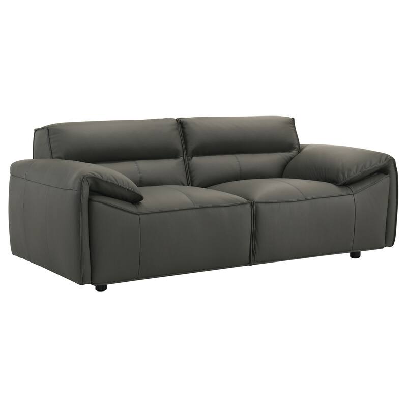 Buxton 2-piece Leather Upholstered Sofa Set