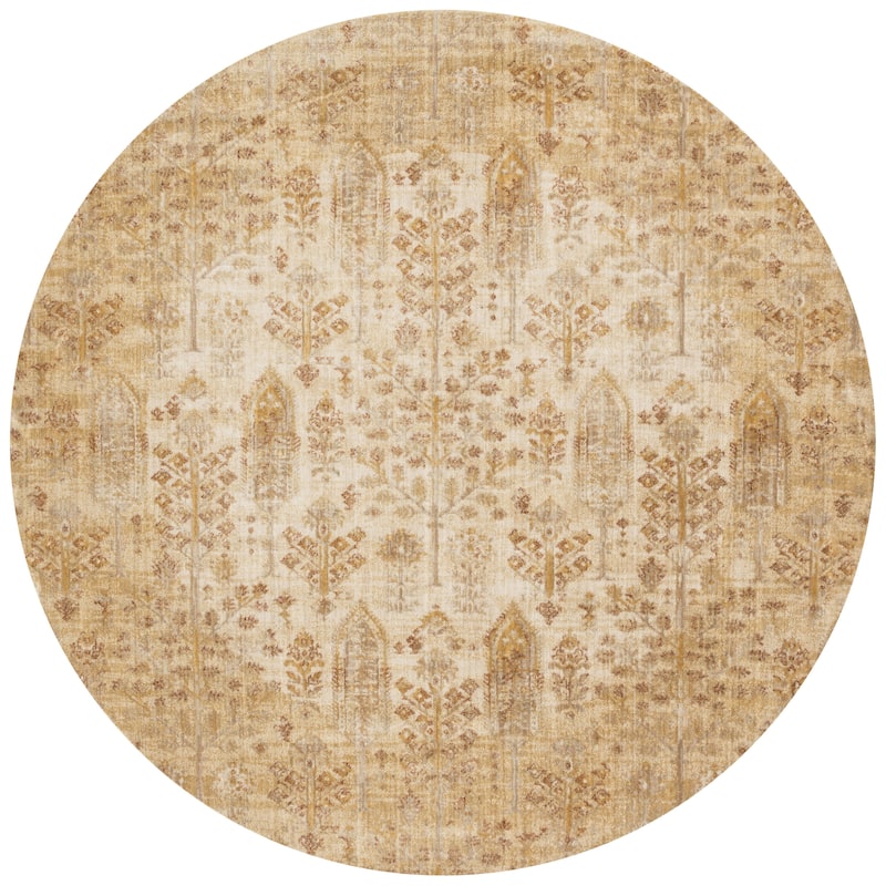 Alexander Home Contessa Traditional Antiqued Floral Distressed Rug