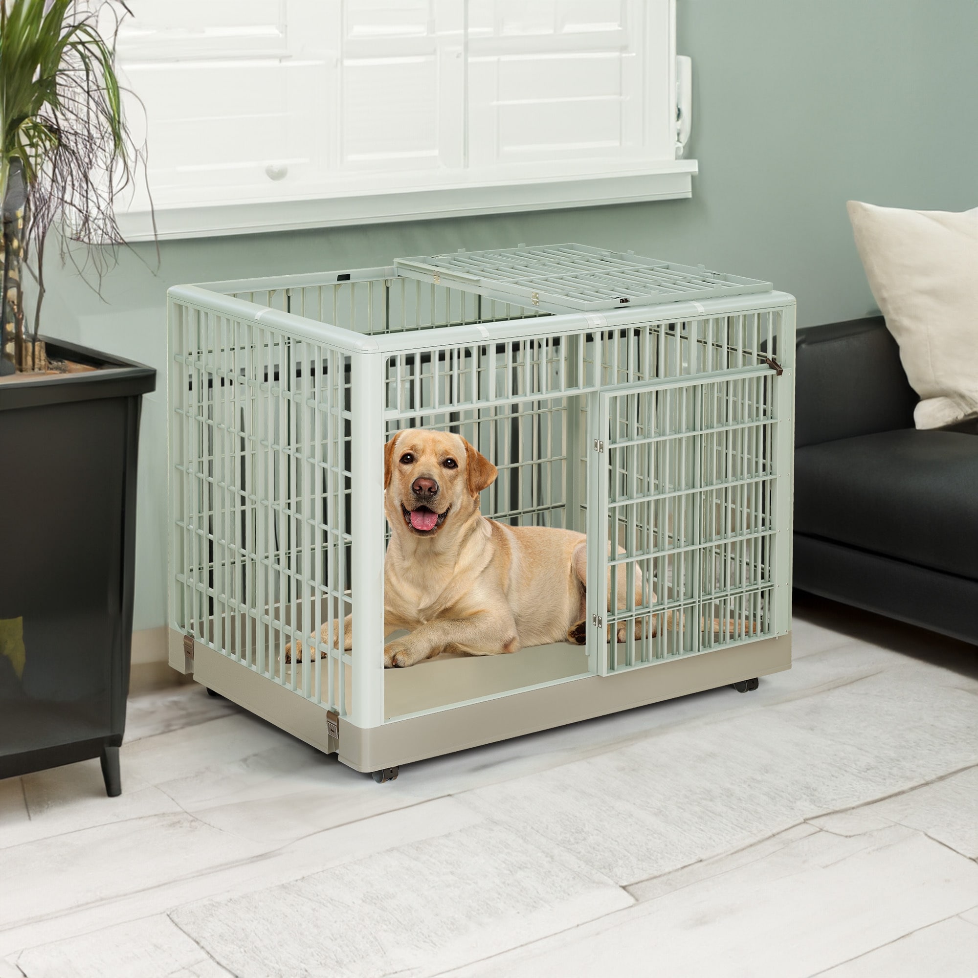 Dog crate bed bath and beyond discount