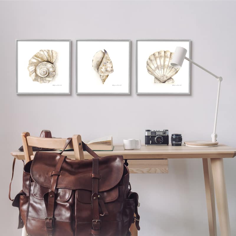 Stupell Soft White Patterned Seashells Nautical Natural Neutrals 3pc Multi Piece Framed Wall Art Set