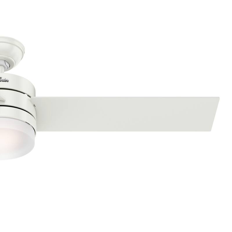 Hunter 54" Exeter Ceiling Fan with LED Light Kit and Remote Control