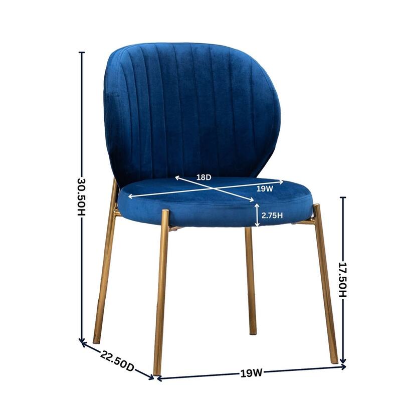 Modern Velvet Upholstery Dining Chair with Metal Frame (Set of 2)