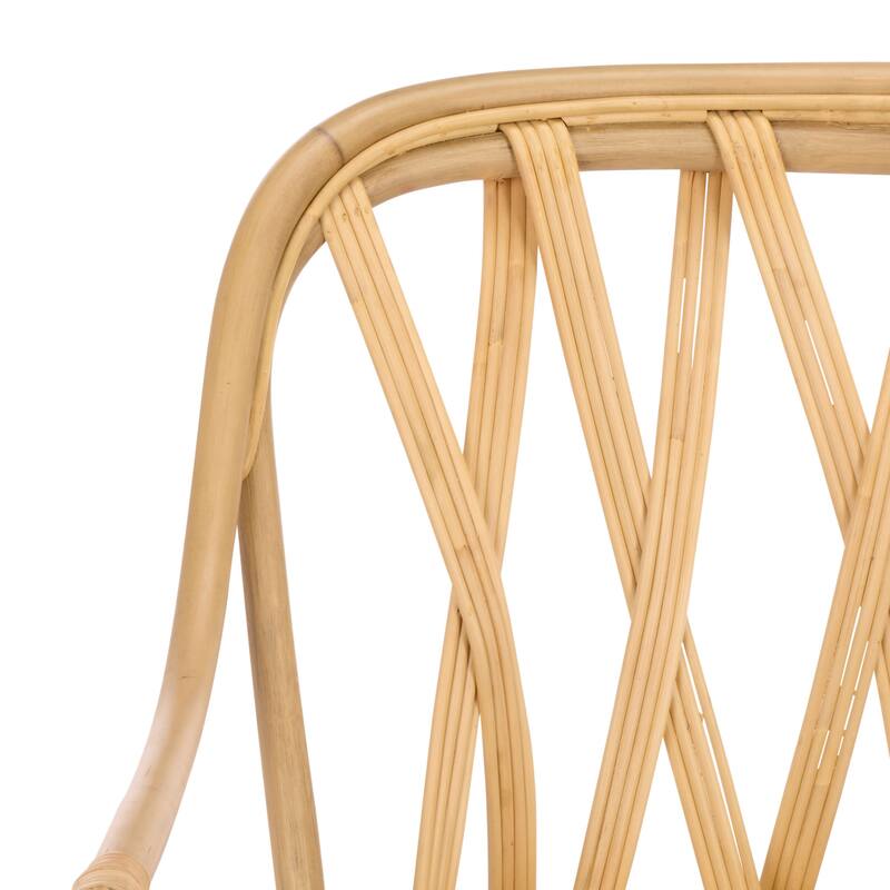 SAFAVIEH Home Serafima Rattan Arm Chair (Set of 2) - 22"W x 22"D x 33"H