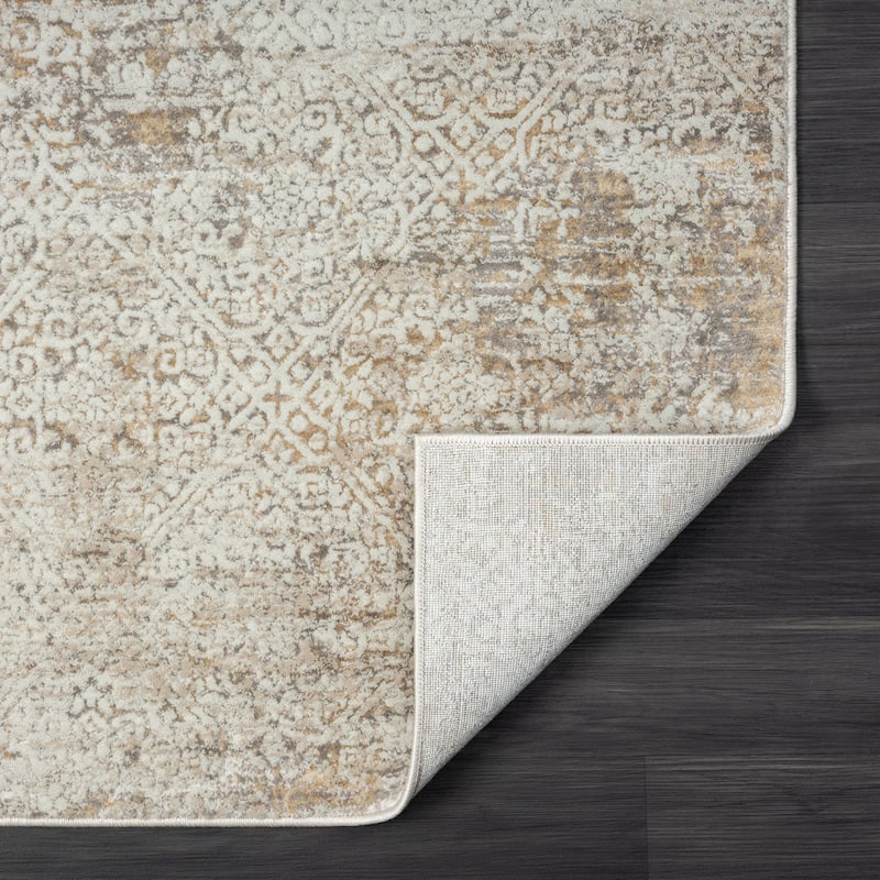 Bailey Transitional Distressed Gray/Beige Performance Indoor Area Rug by Sevita
