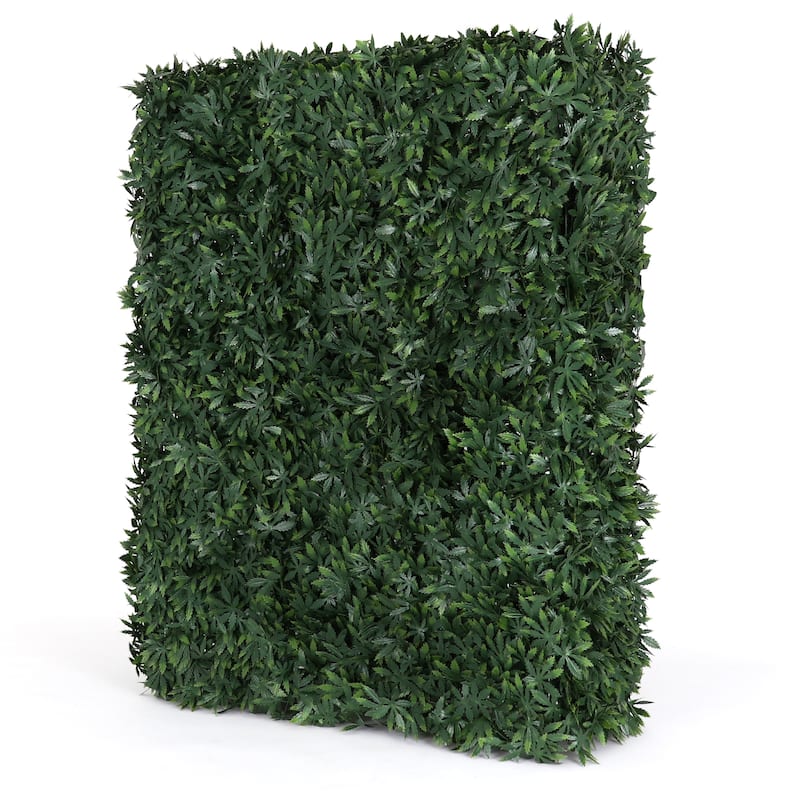 Cannabis Hedge Wall - 41" H - Cannabis