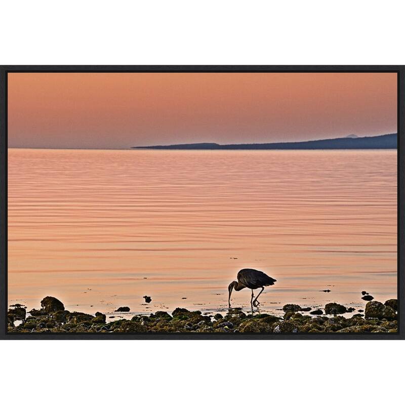 Morning Meal by Chuck Burdick (41 x 28 in.), Framed Canvas Wall Art Print