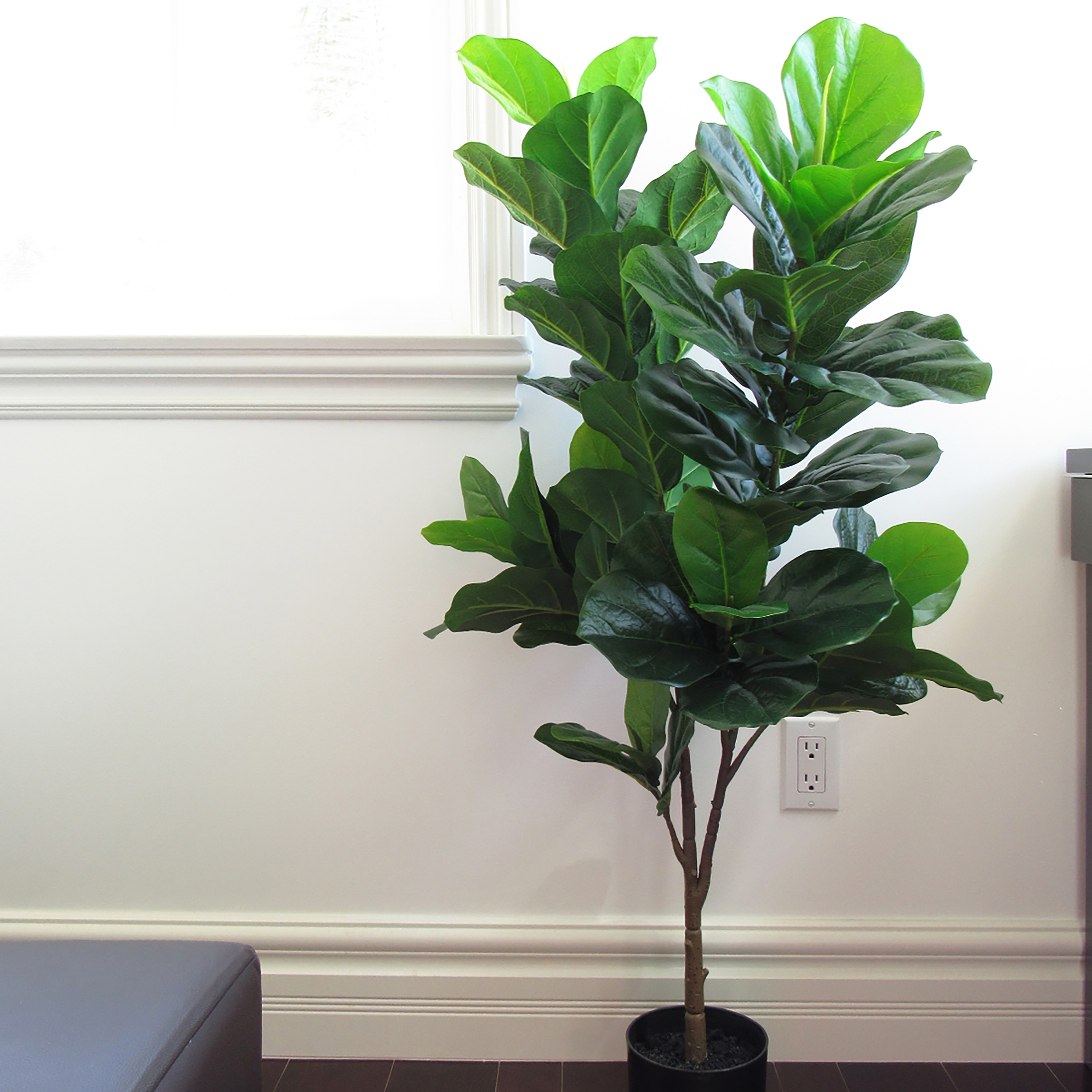 4ft Artificial Fiddle Leaf Fig Tree Plant in Black Pot - 46" H x 24" W x 15" DP