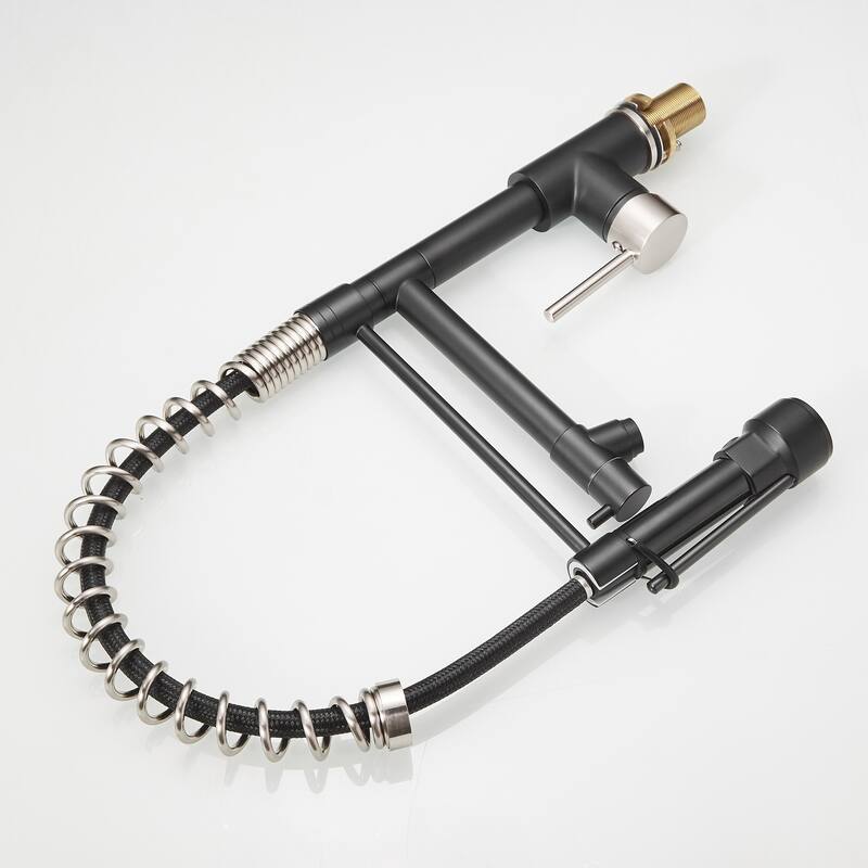 Single Handle Pull Down Kitchen Faucet with Lock Sprayer