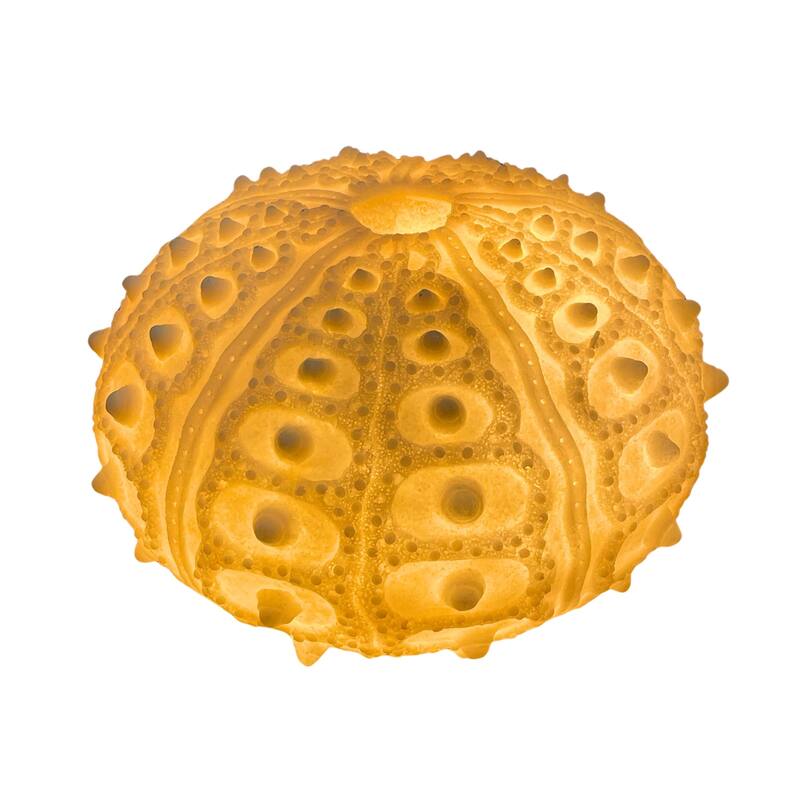 Coastal Sea Urchin Lamp, 12" Resin Sculpture With Warm Glow, Decorative Accent - 7 X 11.5 X 11.5 inches