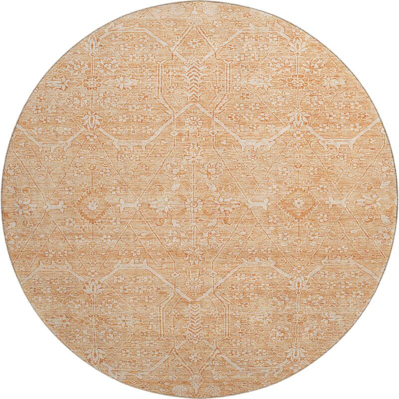 Premium Washable Super Soft Traditional Global Mayfield Rug