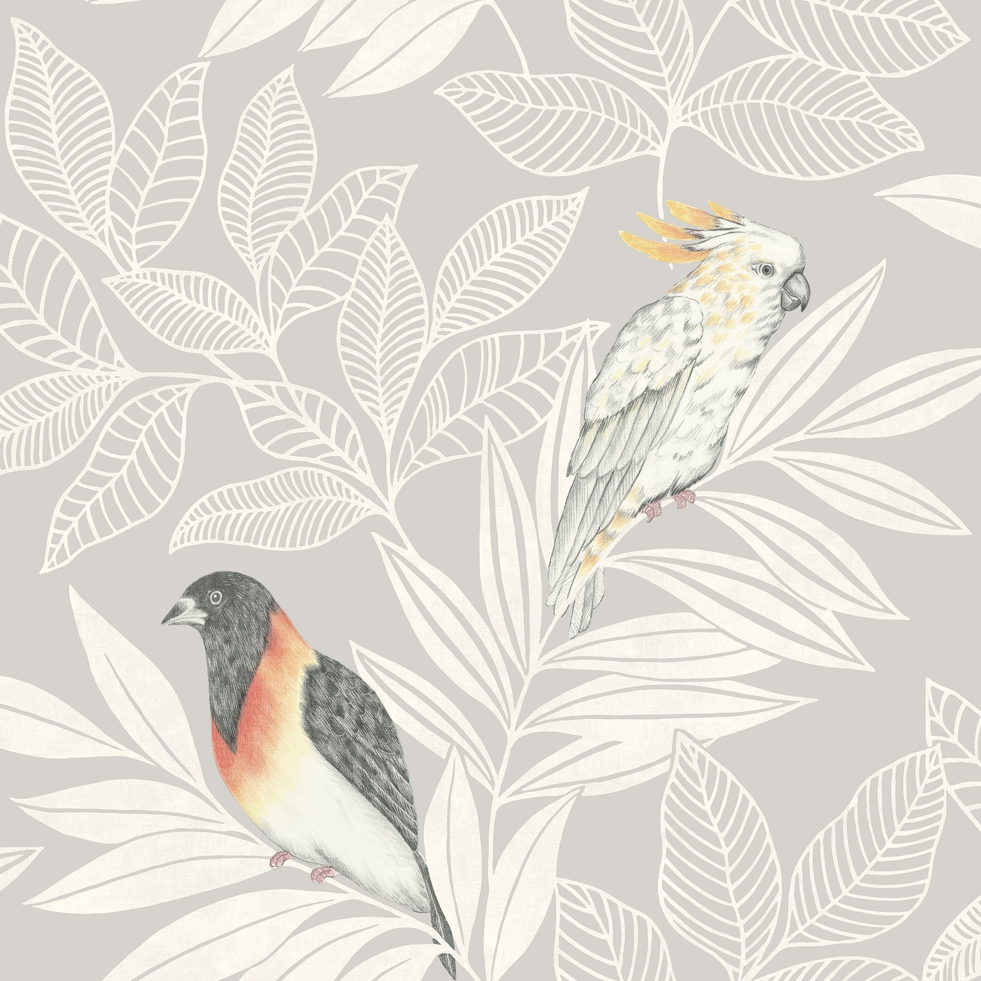 Seabrook Designs Boho Rhapsody Paradise Island Birds Unpasted Wallpaper