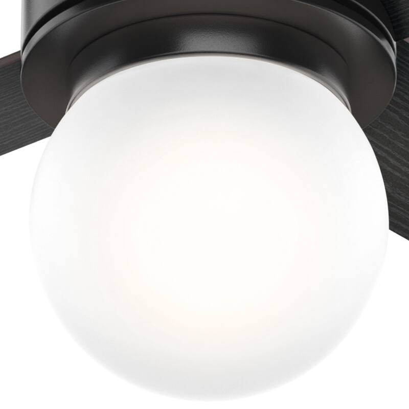 Hunter 52" Hepburn Ceiling Fan with LED Light Kit and Wall Control - Vintage, Mid-Century Modern, Transitional