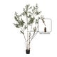 preview thumbnail 5 of 24, Kate and Laurel Oliveira Faux Olive Tree
