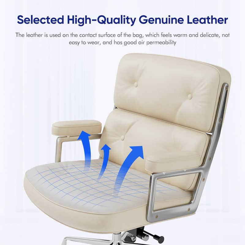 Mid-Back Ergonomic Executive Lobby Chair with Lumbar Support - N/A