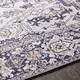 Adenia Vintage Medallion Printed Area Rug