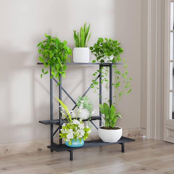 best floating aquarium plants Floating Plant Combo Pack main image 0