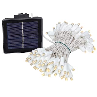 Novelty Lights 100 Light Solar LED Christmas Mini Light Set, White Wire, 60 Feet