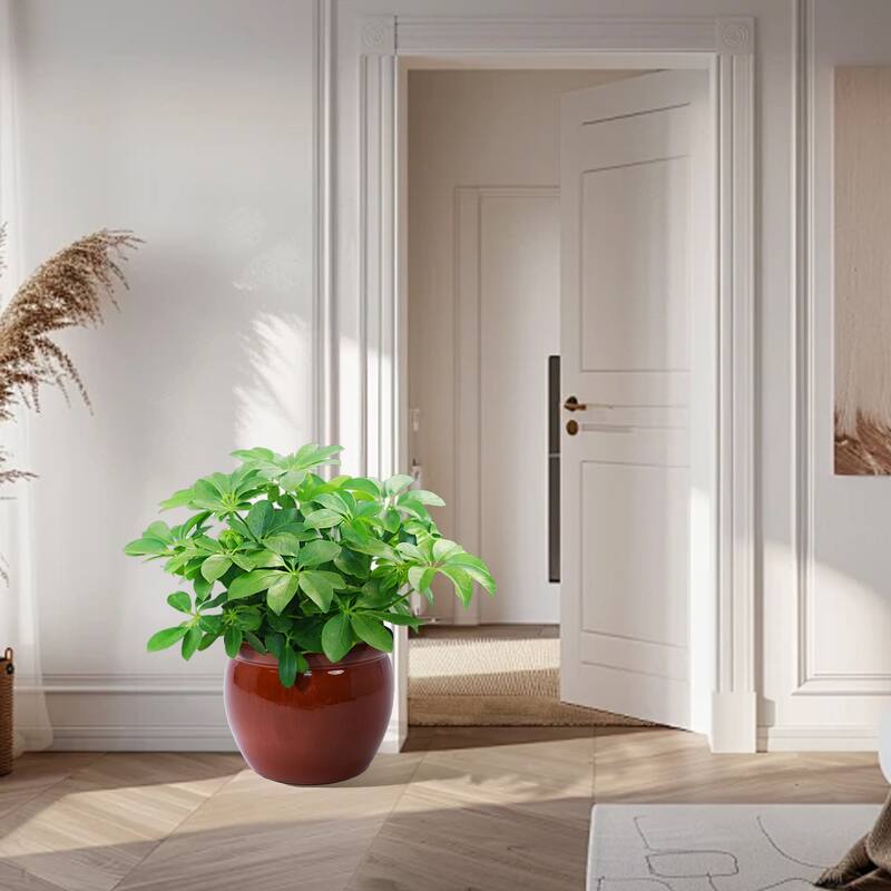 Anmytek Handmade Ceramic Plant Pots Set of 3 Rust Red