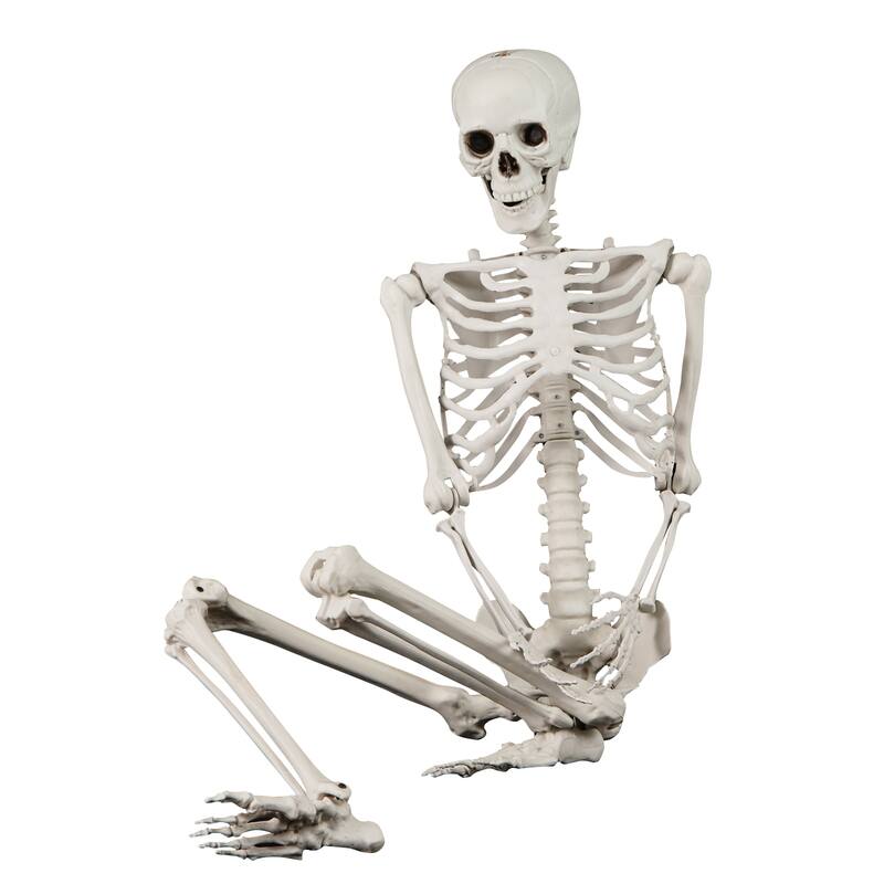 Gymax 5.4 FT Halloween Skeleton Decoration Life Size Large Skeleton w/
