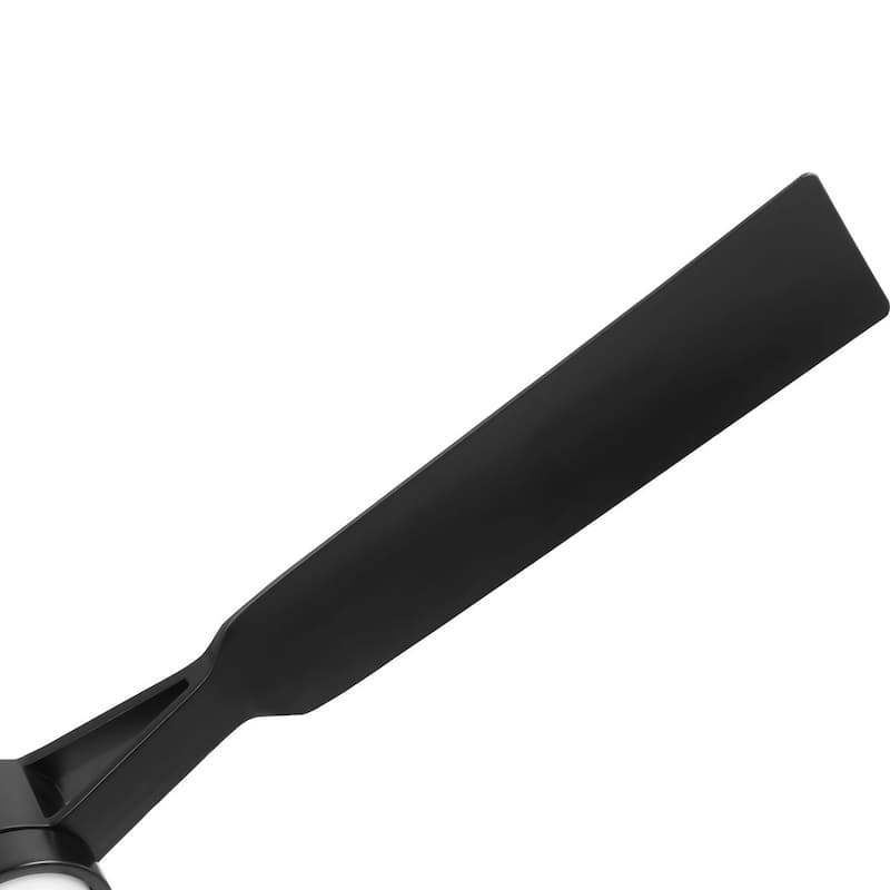 Belen Collection 60-in Three-Blade Matte Black Modern Ceiling Fan with Matte Black Blades - 60 in x 60 in x 13.5625 in