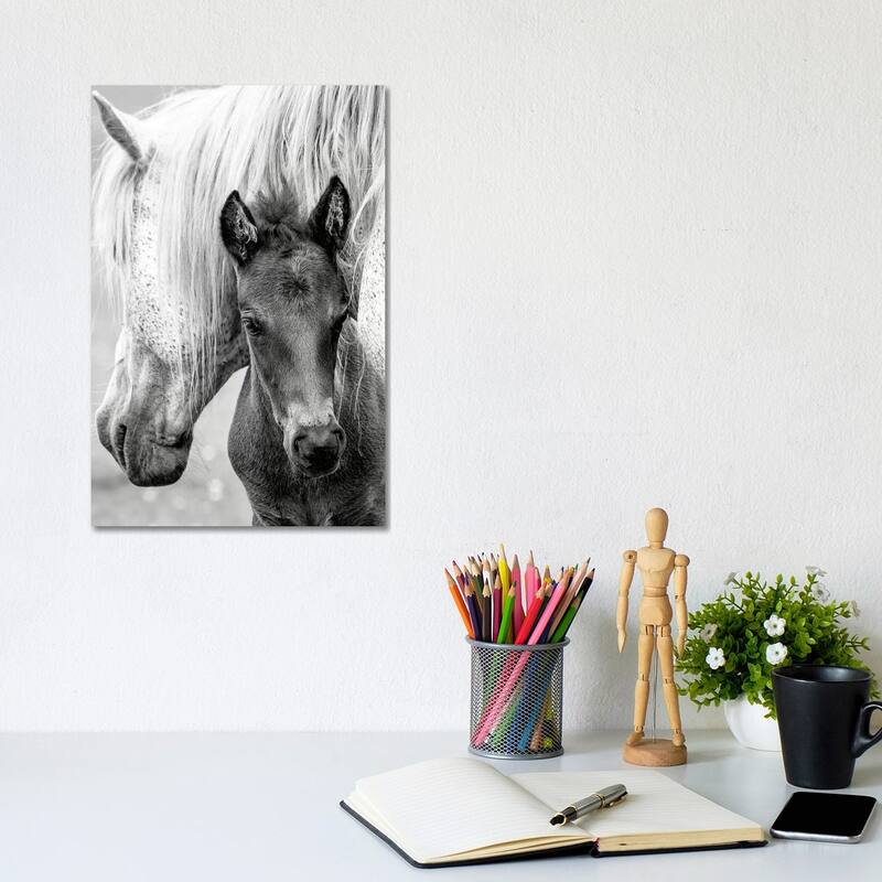 iCanvas "The Foal" by Jacky Parker Canvas Print - 12x8x0.75