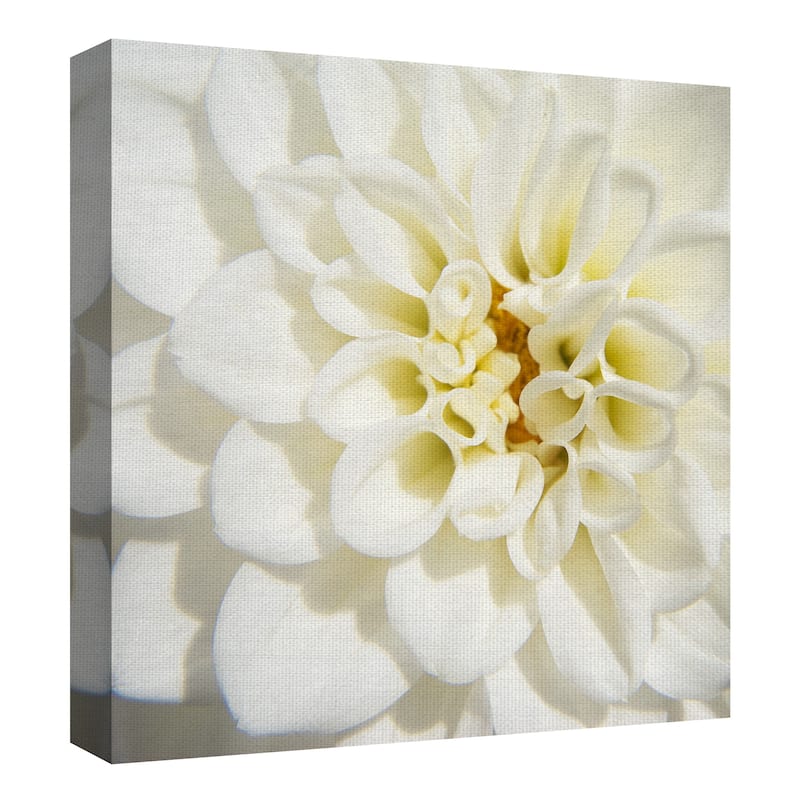 White Dahlia by Grand Image Canvas Art Print