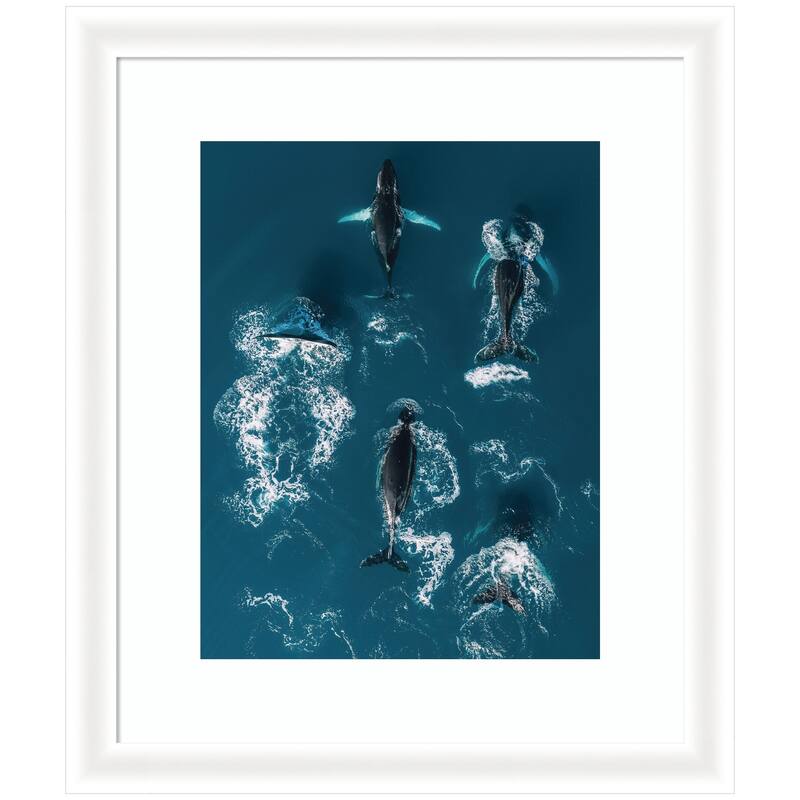 Kate and Laurel Framed Art School of Humpback Whales in the Blue Ocean by Michael Schauer - 23x27 - White