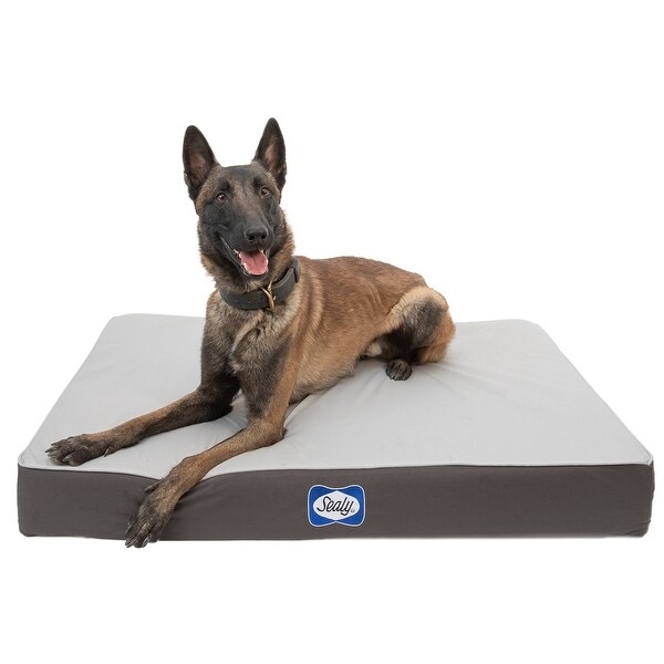 Amazon.com : Luxe Dog Bed by Wag | Quad Layer Technology