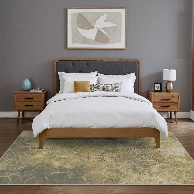 Mcow Modern Machine Washable Low Pile Lightweight Soft Print Area Rugs - 8'X10'