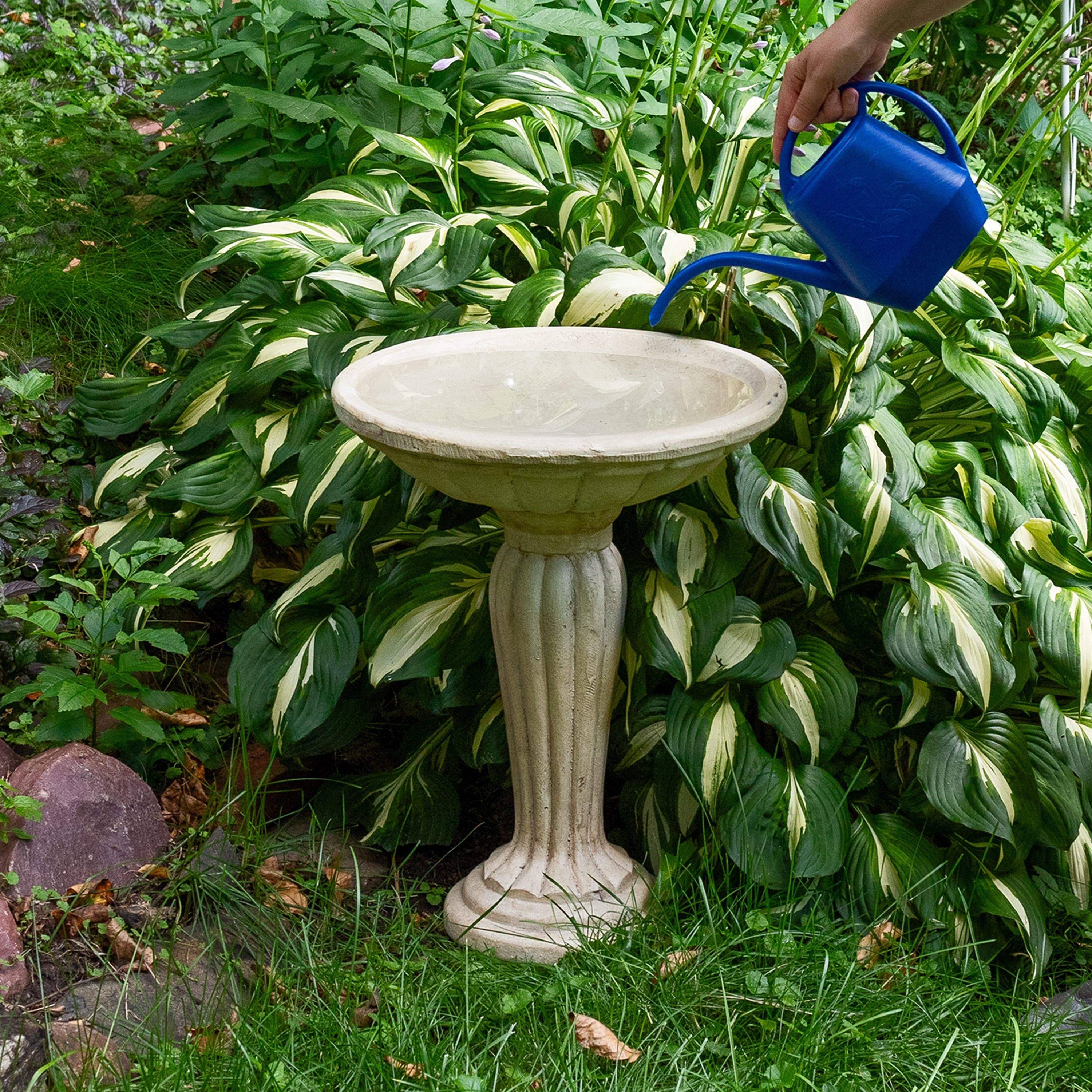 Where to Buy Concrete Bird Baths: Top Spots for Quality & Value
