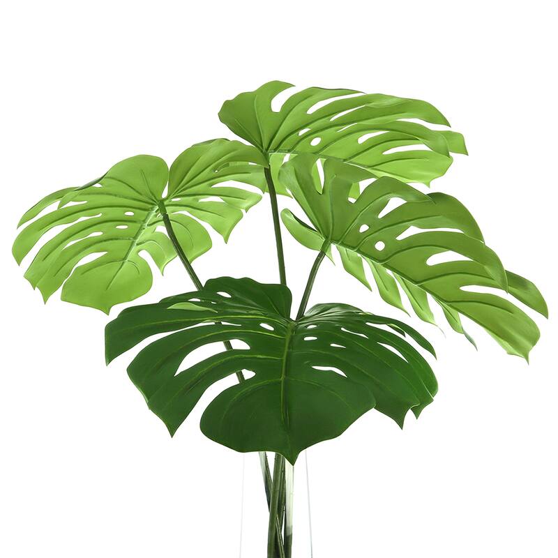 Organic Modern Philo Arranged in Clear Glass Vase - Green
