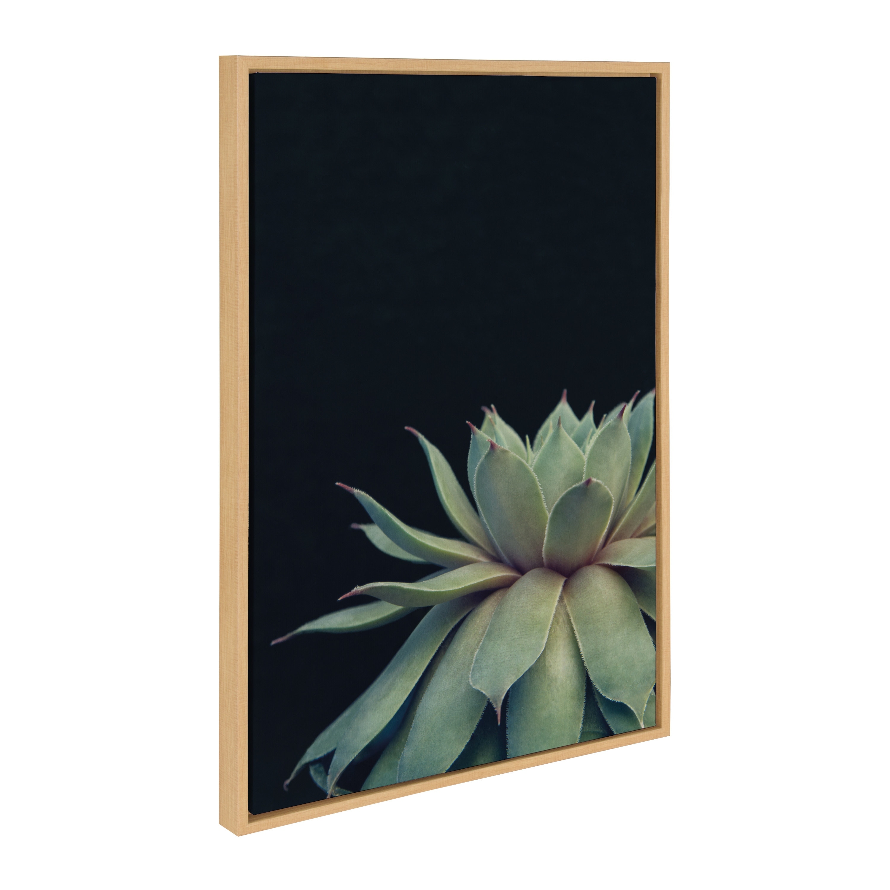 Sylvie Succulent 18x24 Gold Framed Canvas Wall Art by F2 Images Bed Bath   Beyond 17854134