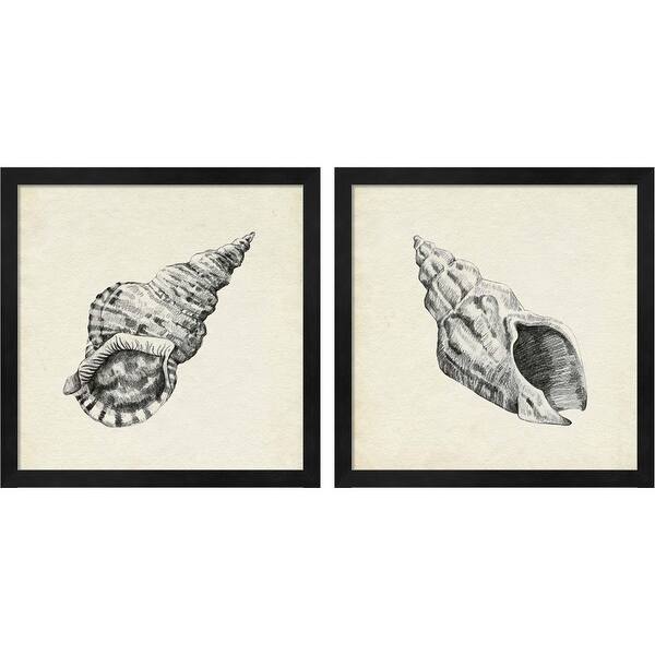 Emma Caroline 'Seashell Pencil Sketch' Framed Art (Set of 2) - Bed Bath ...