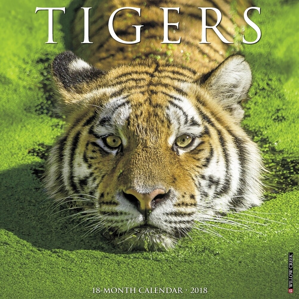 Shop Tigers Wall Calendar Big Cats By Willow Creek Press Free
