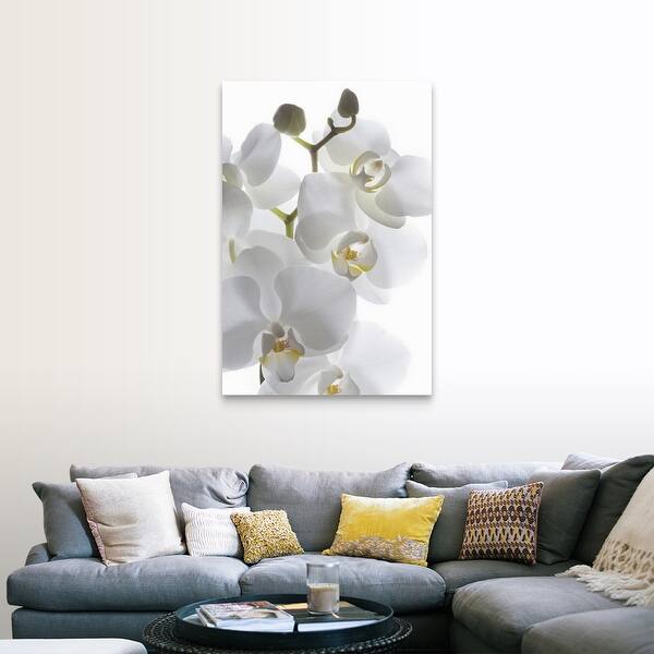Shop Phalaenopsis Orchid Canvas Wall Art Overstock 16496410