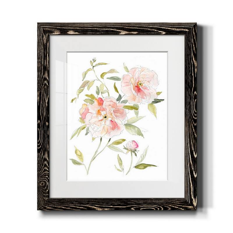 Sketchbook Cottage Rose II-Premium Framed Print - Ready to Hang