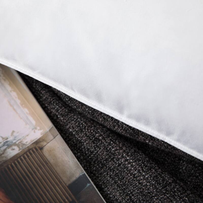 2 Pack Soft Gusseted Goose Feather Down Bed Pillows - White