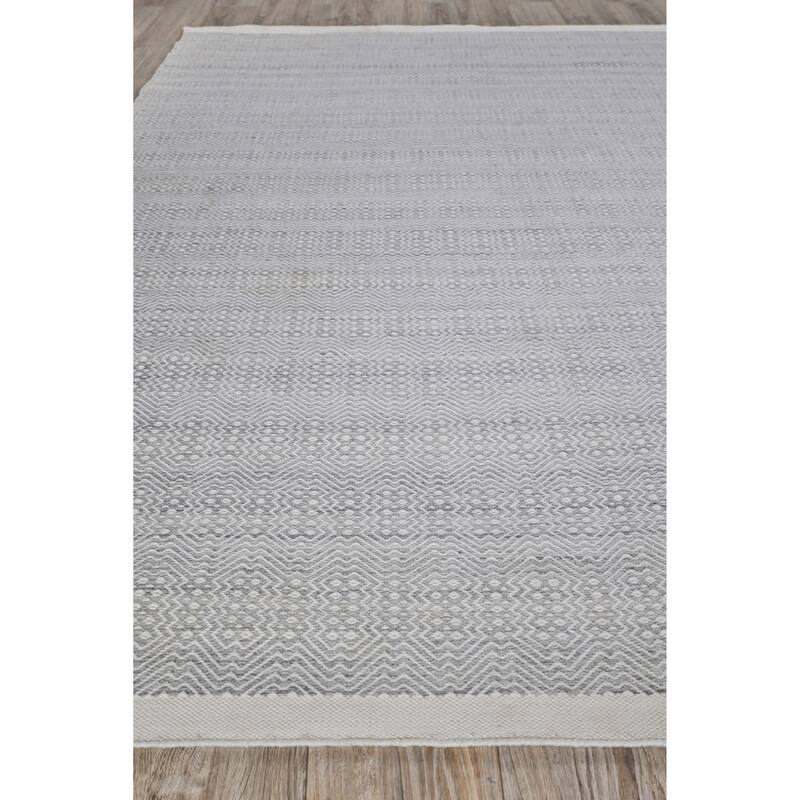 EXQUISITE RUGS Echo Indoor/Outdoor Flatweave PET yarn Ivory/Light Silver Area Rug.