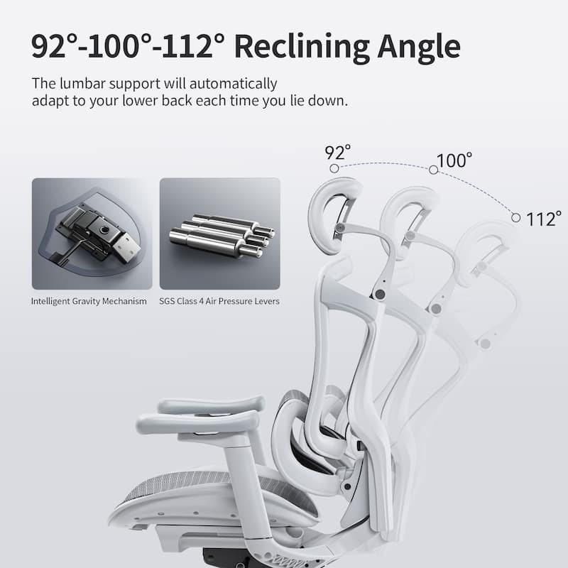 SIHOO Ergonomic Ofiice Chair Doro-C300, Auto-Adaptive Lumbar Support, and 3D Linkage Armrests, Black - 78*70*125