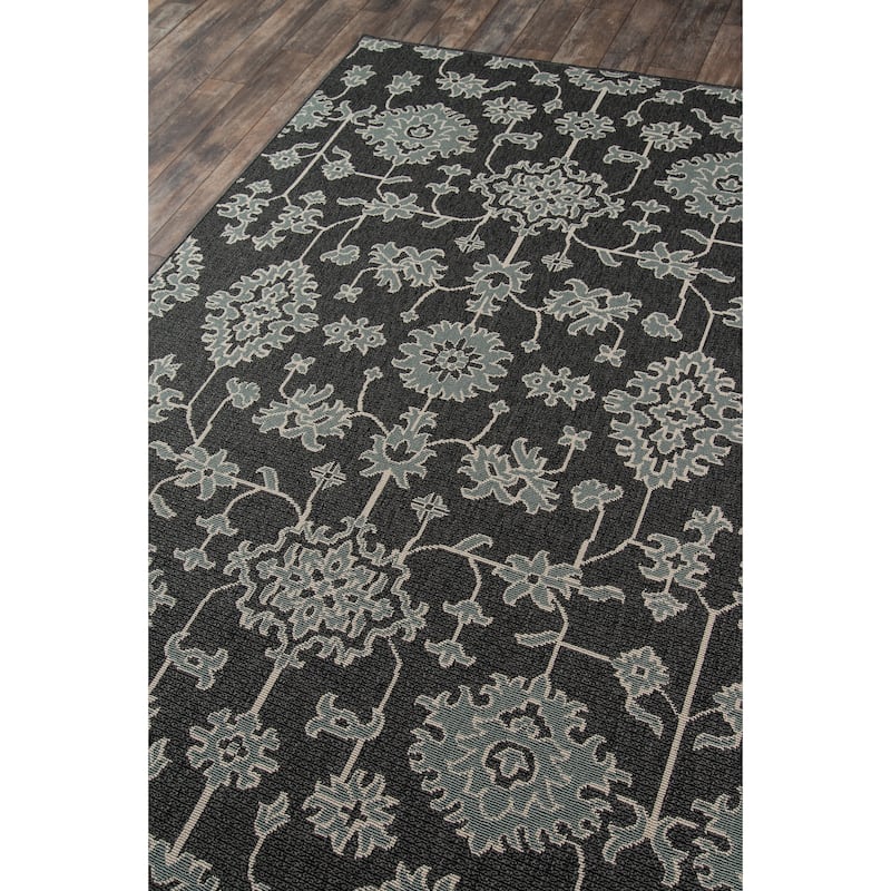 Momeni Baja Updated Traditional Indoor Outdoor Area Rug