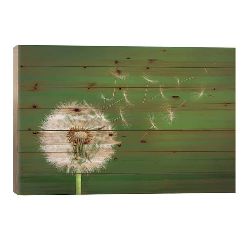 Dandelion Blowing II Print On Wood by Bess Hamiti - Multi-Color - 18x26x1.5