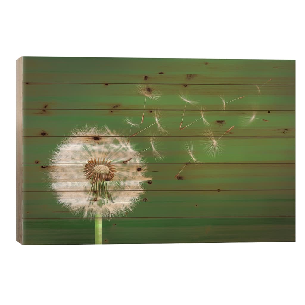 Dandelion Blowing II Print On Wood by Bess Hamiti - Multi-Color