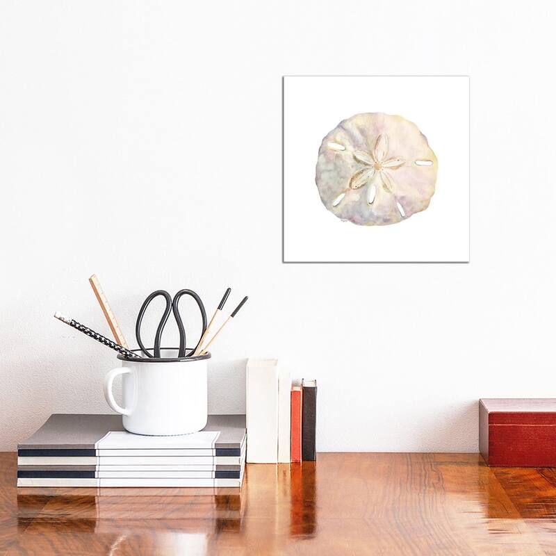 iCanvas "Oceanum Shells White IV-Sand Dollar" by Tara Reed Canvas Print - 12x12x0.75