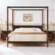 Option Walnut